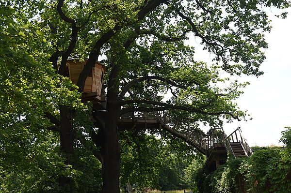 kleines Holzhaus in Baumwipfel