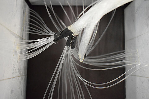 Nahaufnahme der Lichtwellenleiter