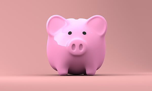 Sparschwein rosa Sparschwein
