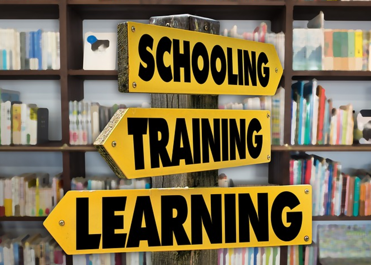 Es sind drei gelbe Pfeile zu sehen, wovon zwei nach links zeigen und mit Training sowie Learning beschrieben sind. Ein Pfeil zeigt nach rechts und ist mit Schooling beschriftet. Alle Pfeile sind an einem Holzstock angebracht, im Hintergrund sind Bücher zu sehen.