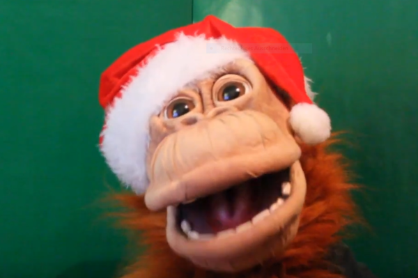 DocEmmet, IT-Berater des Weihnachtsmannes. (Copyright: CW) Affen-Plüschpuppe mit Weihnachtsmütze