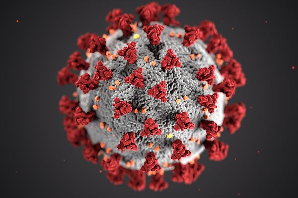 mikroskopische Darstellung Corona-Virus