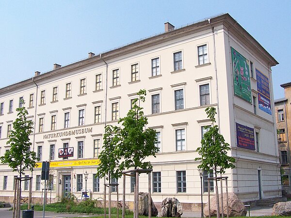 Ein eckiges, cremeweißes Gebäude. Über dem Eingang sind ein gelber Banner und in Großbuchstaben steht darüber „Naturkundemuseum“. Vor dem Gebäude sind einige Bäume und große Steine.