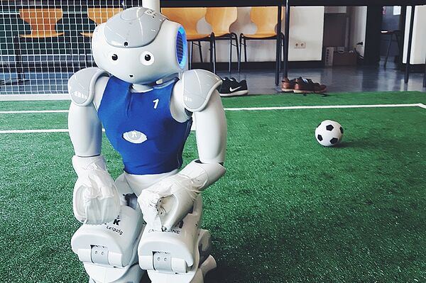 Ein Roboter auf grünem Rasen, dahinter ein Tor und ein Ball