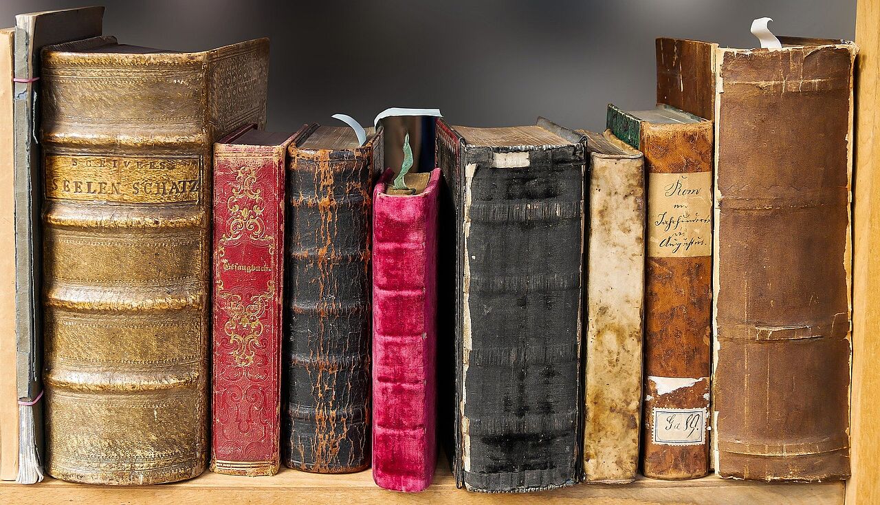 Historische Besrände Buchrückenansicht mehrerer, nebeneinanderstehender, historischer Bücher.