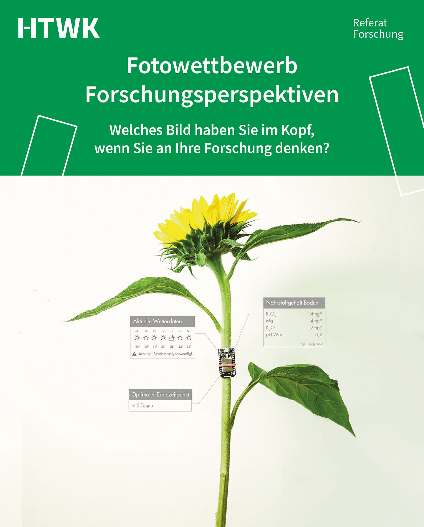 Fotomontage einer Sonnenblume mit Sensoren