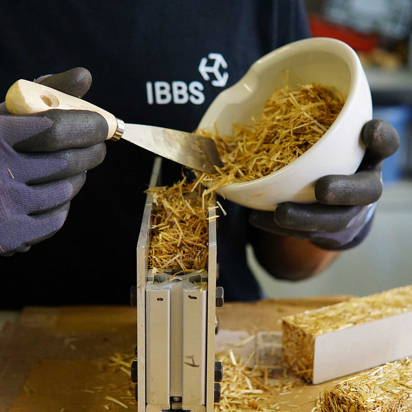 Zur News Fotowettbewerb des Referats Forschung