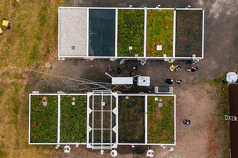 MaNuGrün Luftaufnahme von mehreren begrünten Dachflächen in einer Versuchsanlage