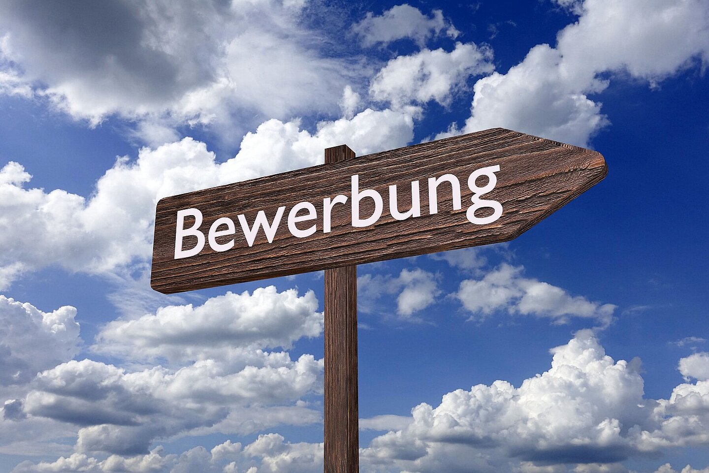 Wegweiser zur Bewerbung Zur Seite Studienbewerbung