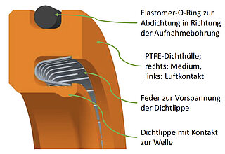 Cross-sectional view of an industrial shaft seal
