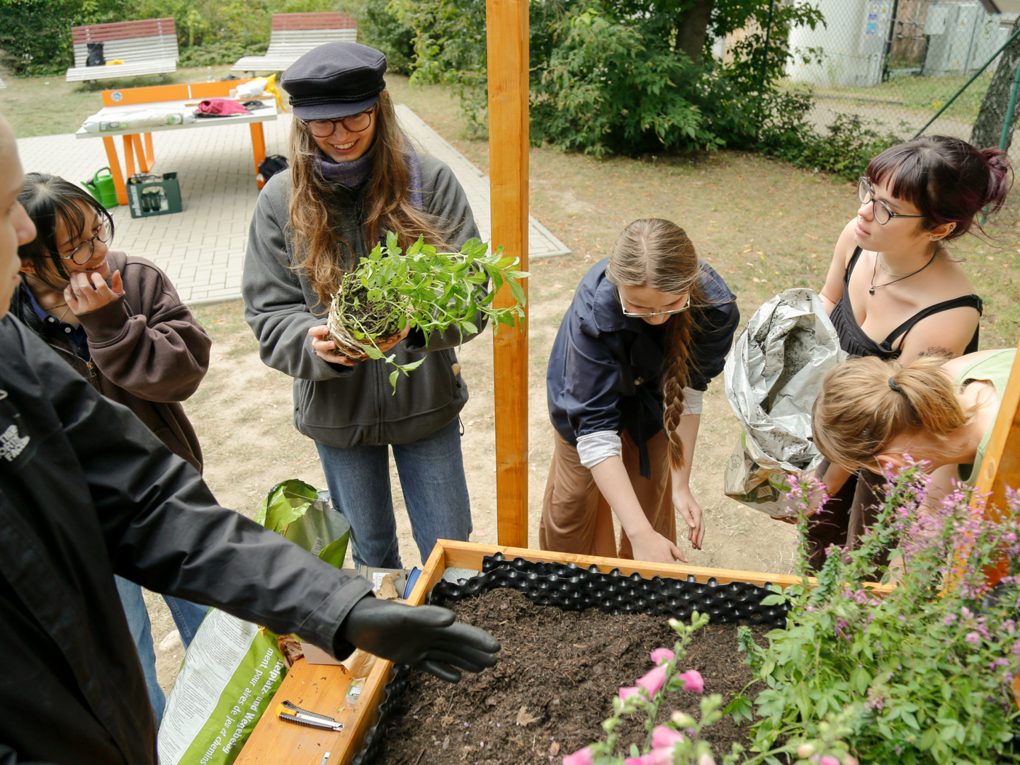 Mehrere Menschen pflanzen Kräuter und Blumen.