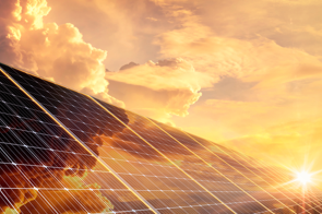 Zur Projektseite TOUCAN-Evolution