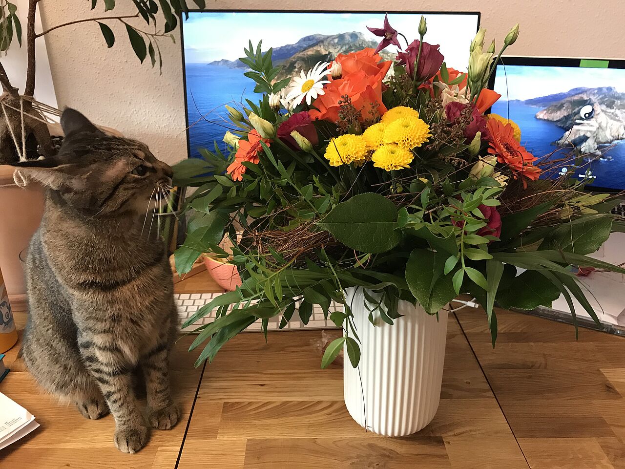 Katze auf Tisch mit Blumenstrauß