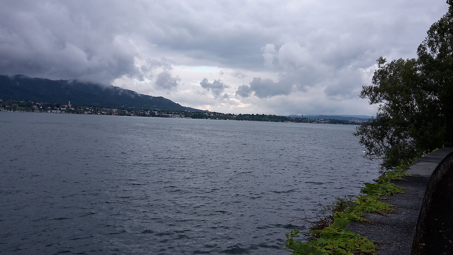 Am Zürichsee - ok, das Wetter ist nächstes Mal sicher besser