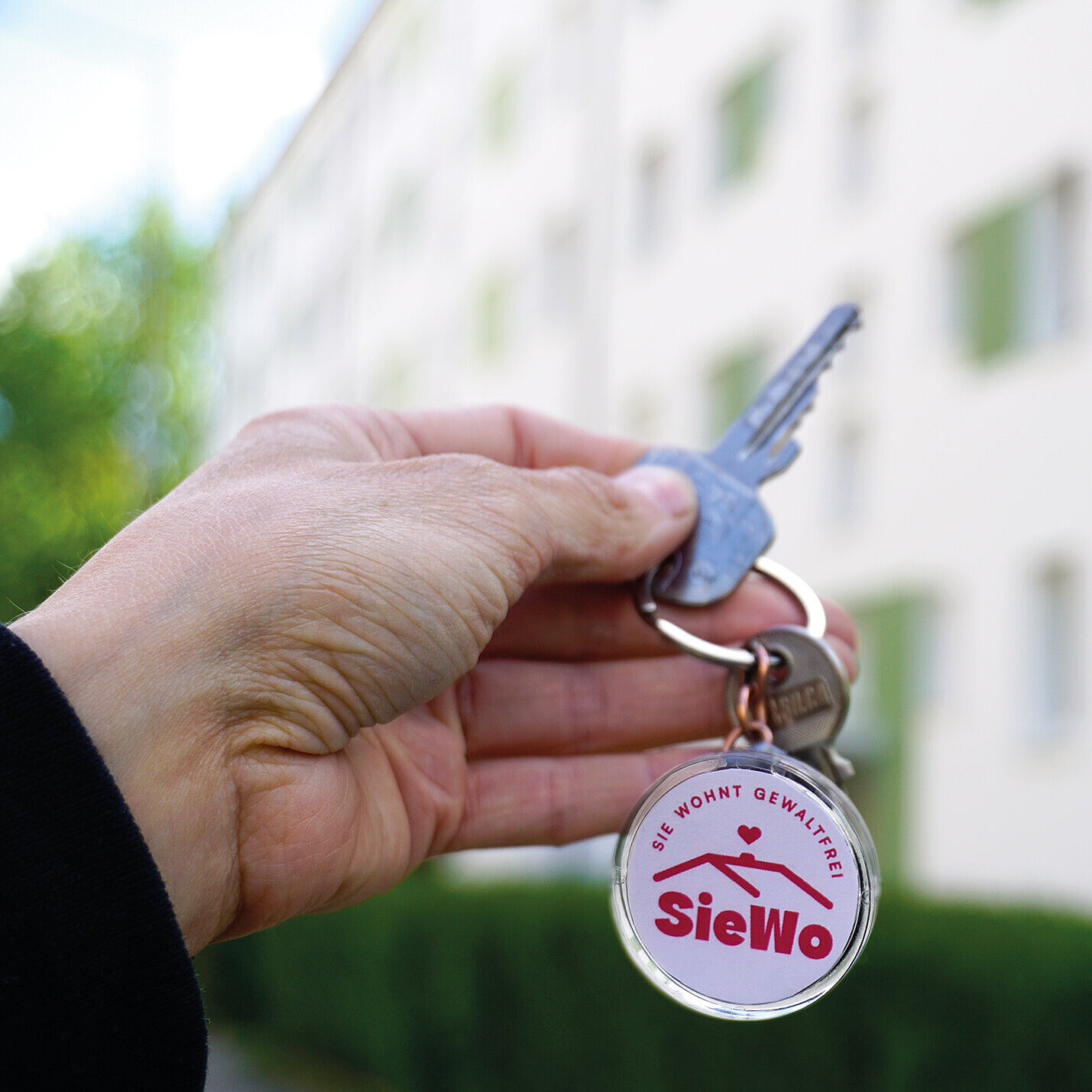 Zur News Modellprojekt „SieWo“ gegen häusliche Gewalt