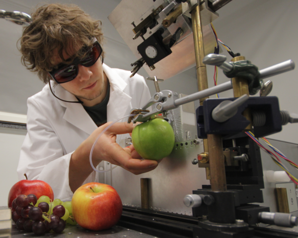 A student is testing an fruits in the laboratory