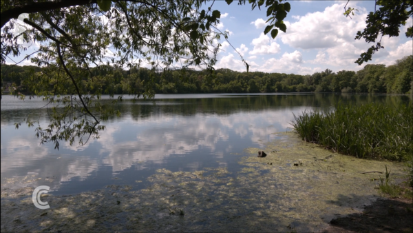 Naturschutzwoche 2026: Auenlandschaft Die Auenlandschaft steht im Mittelpunkt der Leipziger Naturschutzwoche