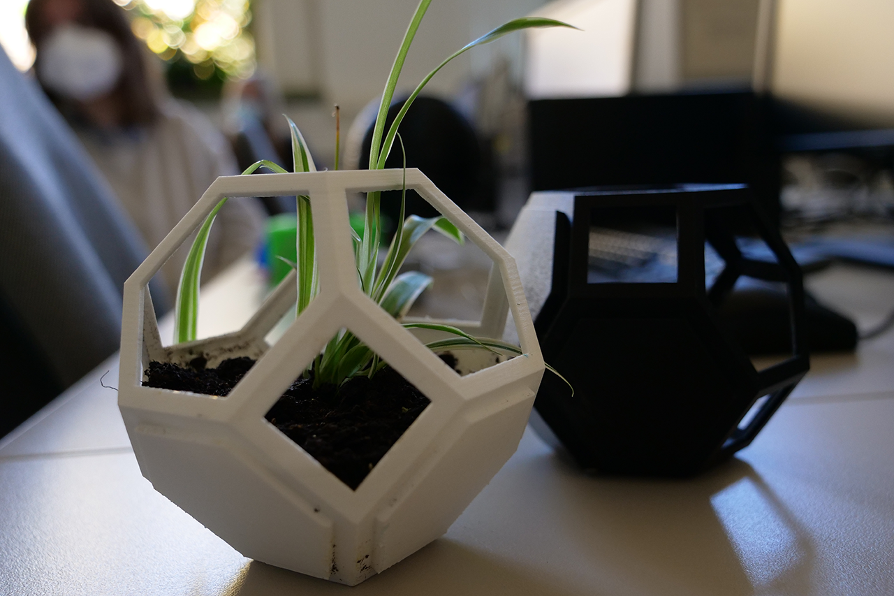 Foto von 3D-gedrucktem Polyeder mit Pflanze drin
