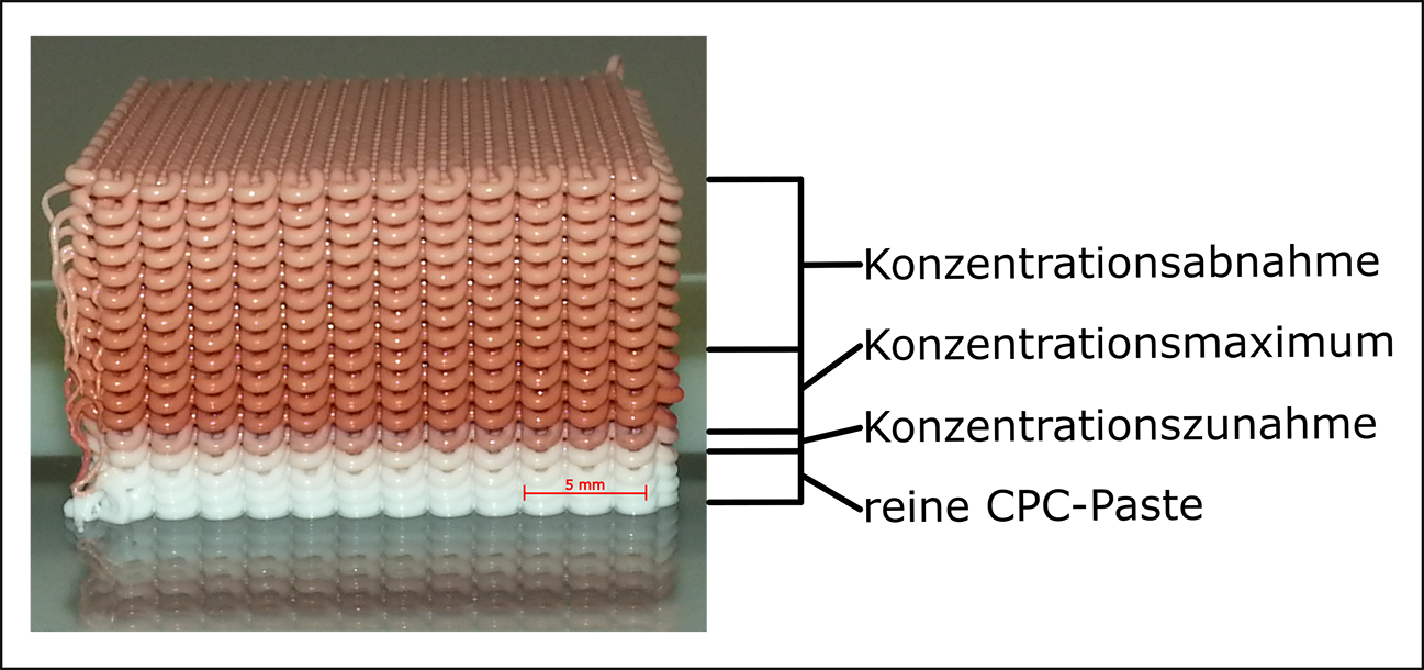 Abbildung Vorversuch Gradient