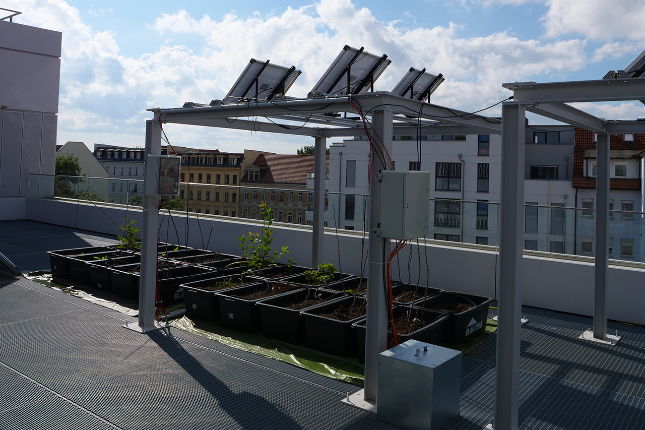 Agro-PV Versuchsstand auf dem Dach des Nieper-Baus der HTWK © HTWK Leipzig