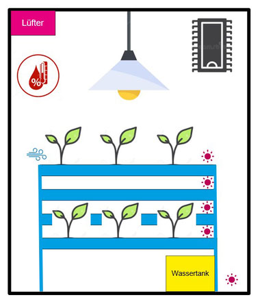OptiPlant