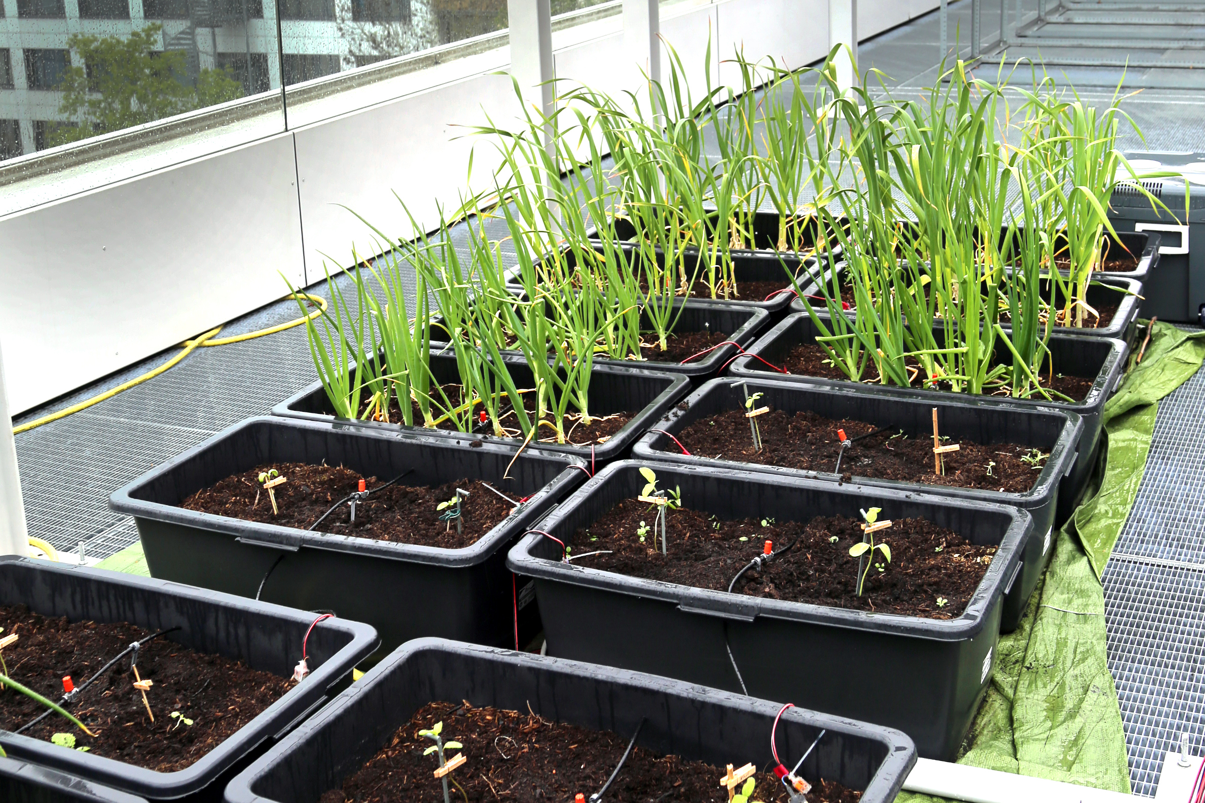 Zur Projektseite PiKE