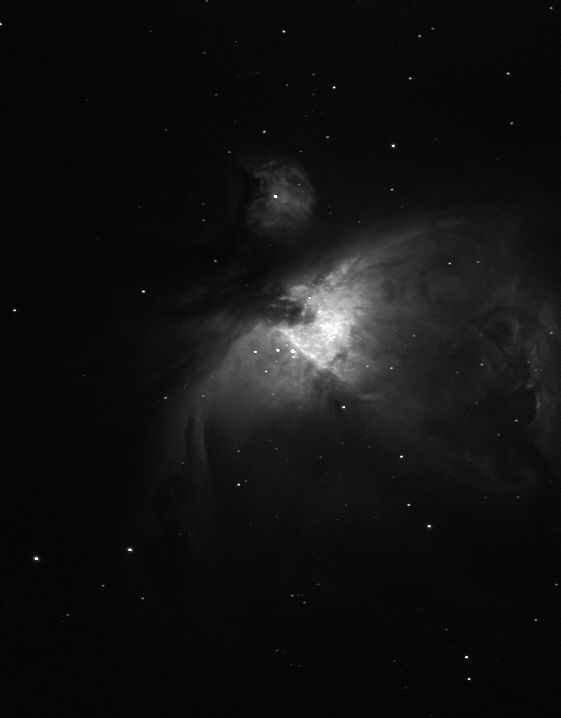 Orion-Nebel im Okular betrachtet (Foto: Dietmar Telschow) Zu sehen ist eine schwarz-weiß-Aufnahme des Orion-Nebels. Es ist vorrangig schwarz, nur in der Mitte ist der Nebel in weiß zu sehen und ein paar wenige Sterne drum herum.
