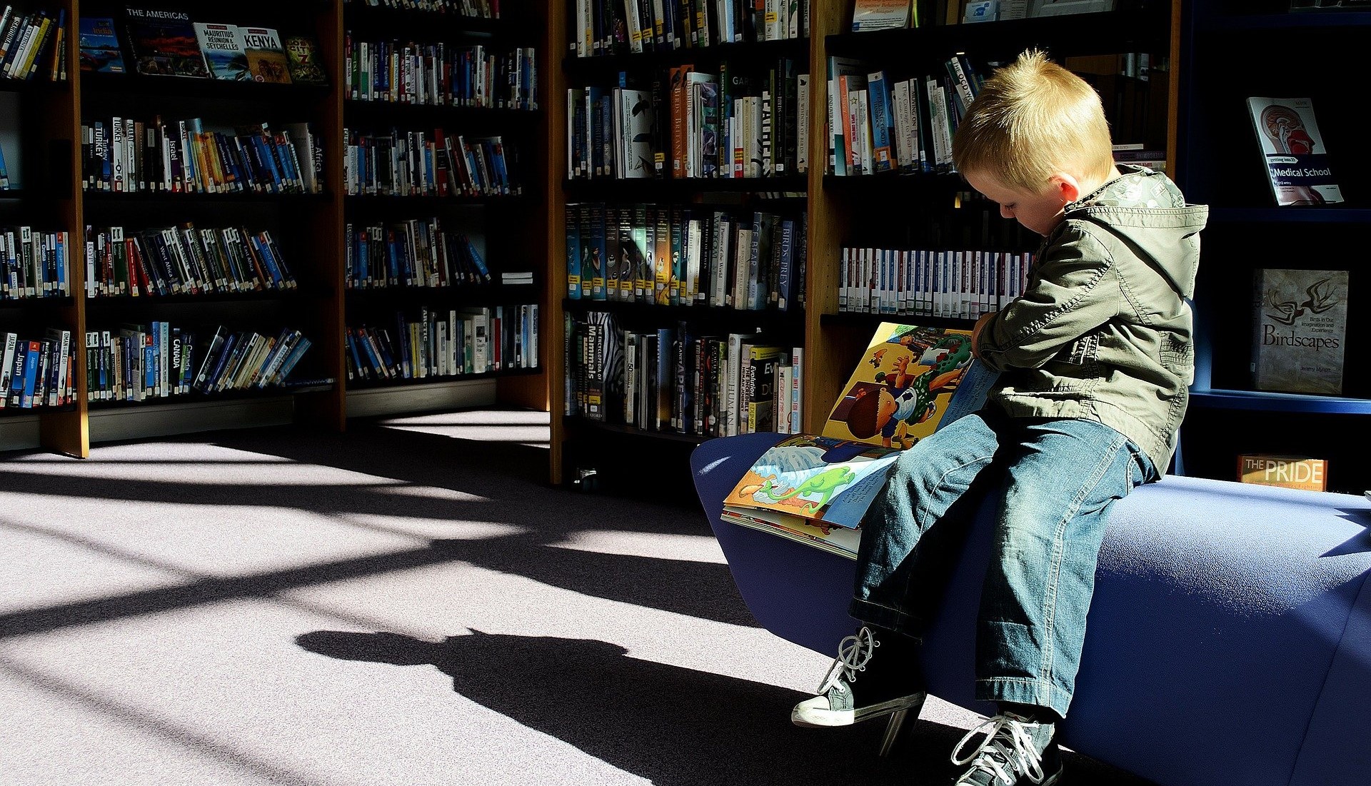 Museumspädagogik Ein Kind sitzt in einer Bibliothek auf einem blauen Sofa und schaut sich ein Buch an.