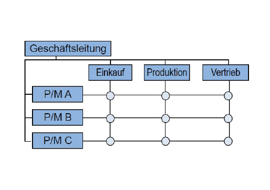 Abbildung eines Organisationsorganigramms.