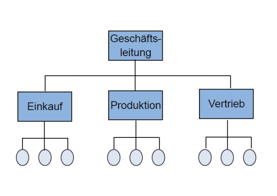 Abbildung eines Organisationsorganigramms.