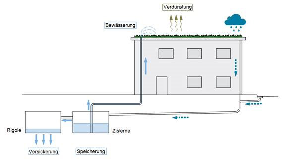 Die Grafik zeigt eine Möglichkeit, wie Regenwasser zur Bewässerung von Pflanzen und zur Kühlung eines Hauses beiträgt und wie es im Boden zwischengespeichert wird 